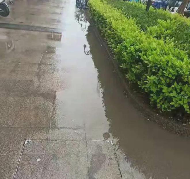 中欧体育app下载官网温州这个小区一下雨就积水可苦了沿街店铺了(图3)