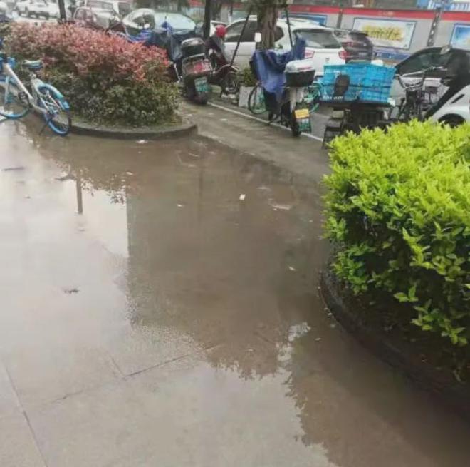 中欧体育app下载官网温州这个小区一下雨就积水可苦了沿街店铺了(图2)