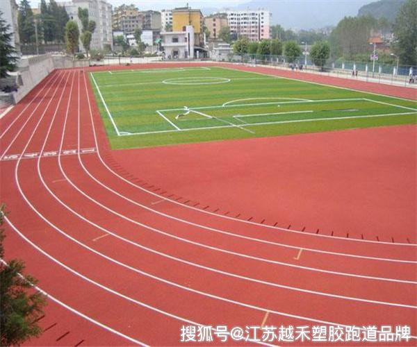 新国标塑胶跑道中国塑胶跑道十大名牌中国塑胶跑道品牌排行国产EPDM品牌(图2)