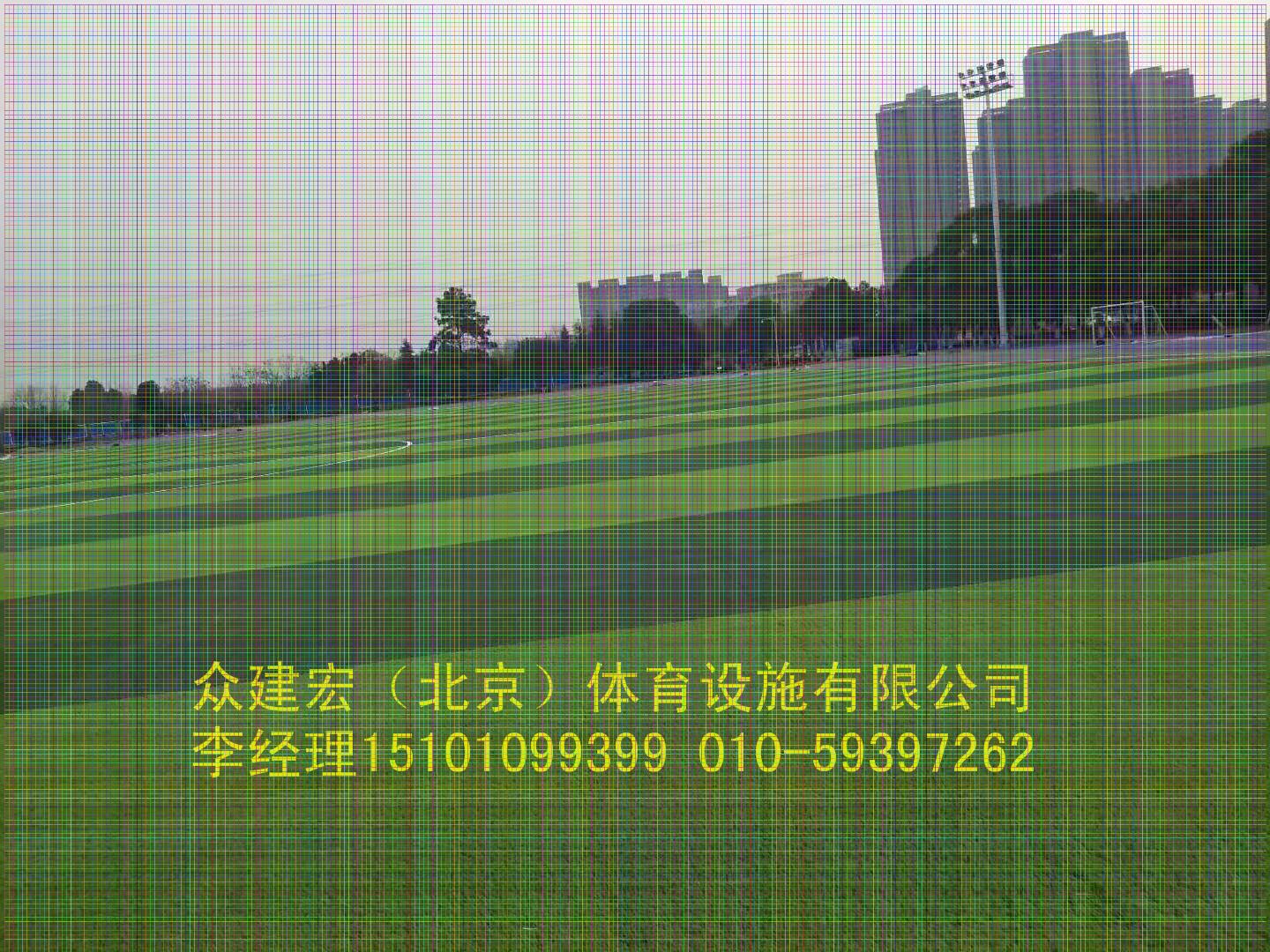 中欧体育北京周边塑胶跑道施工供货厂家(图2)